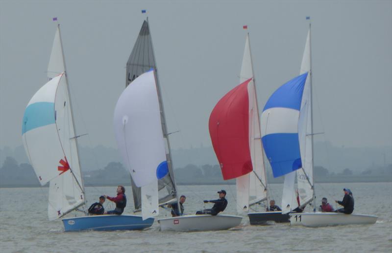 GJW Direct Helly Hansen Lark Great 8 at Marconi photo copyright Jenny Ball taken at Marconi Sailing Club and featuring the Lark class
