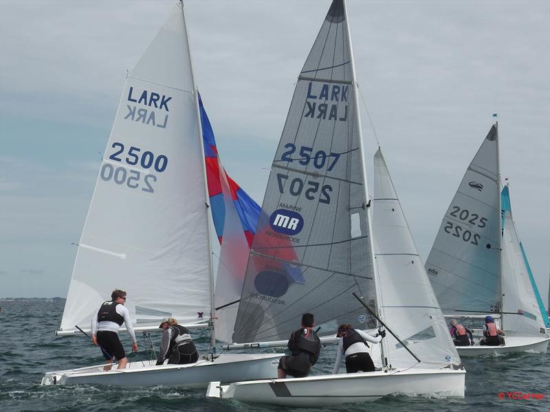 SMELT 2017 photo copyright YCCarnac taken at Yacht Club de Carnac and featuring the Lark class