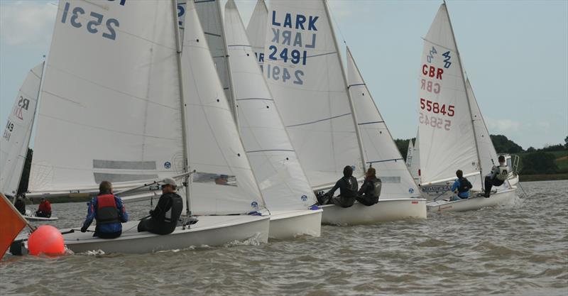 GJW Waldringfield Cartoon Trophy 2017 photo copyright Alexis Smith taken at Waldringfield Sailing Club and featuring the Lark class