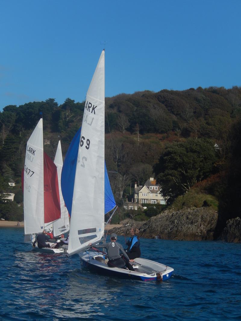 Salcombe Brewery 50th Lark Masters photo copyright Malcolm Mackley taken at Salcombe Yacht Club and featuring the Lark class