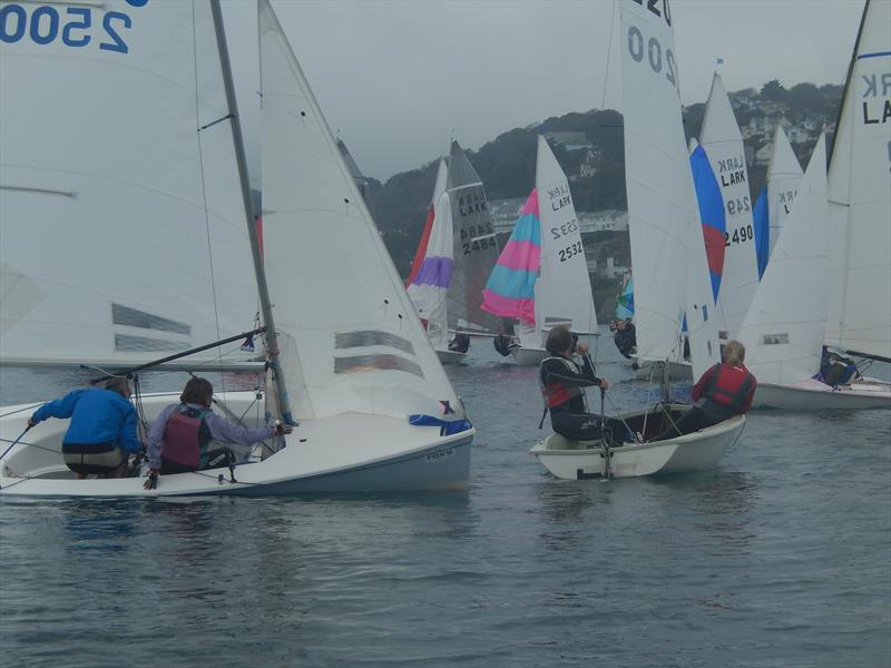 Salcombe Brewery 50th Lark Masters - photo © Malcolm Mackley