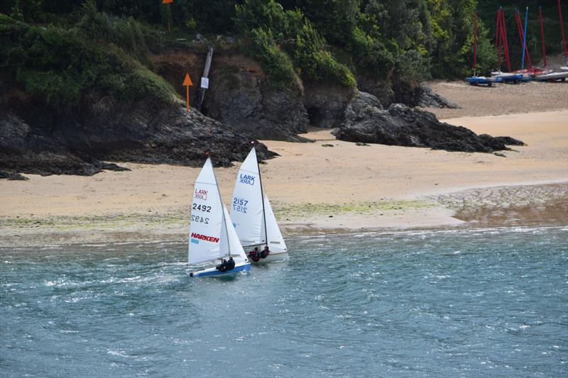 Larks at the Salcombe Regatta photo copyright Tim Fells taken at Salcombe Yacht Club and featuring the Lark class