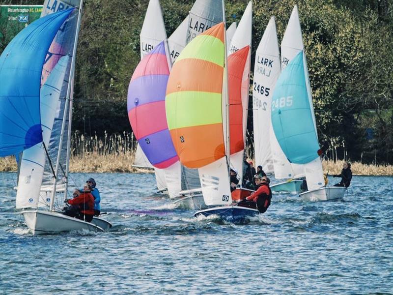 Lark Inlands at South Staffs photo copyright Harriet Temple taken at South Staffordshire Sailing Club and featuring the Lark class