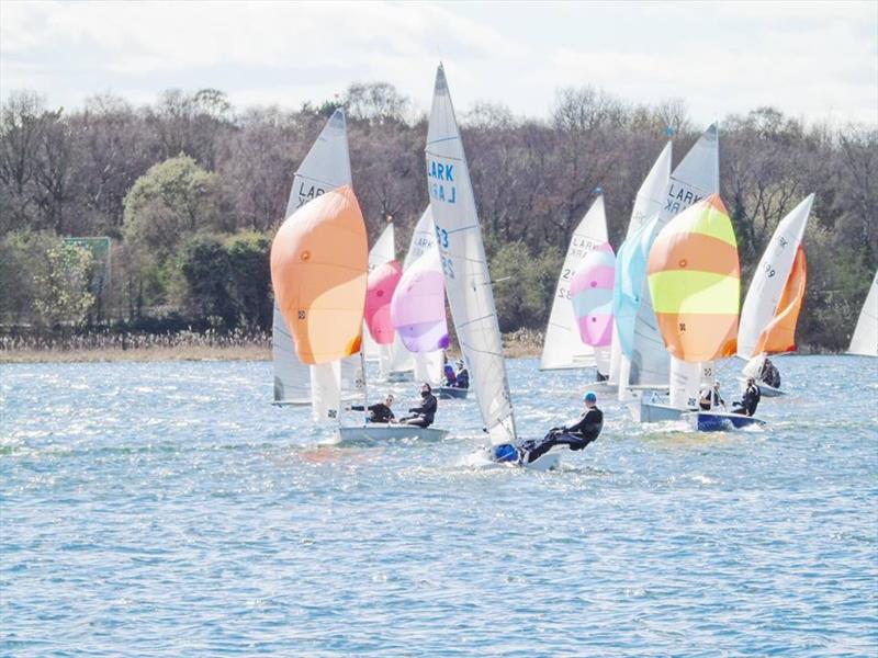 Lark Inlands at South Staffs photo copyright Harriet Temple taken at South Staffordshire Sailing Club and featuring the Lark class