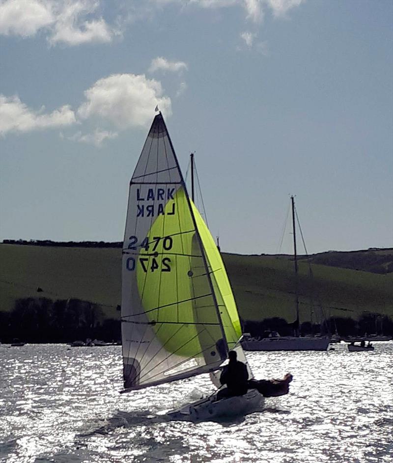 Lark Masters at Salcombe photo copyright Graham Cranford Smith taken at Salcombe Yacht Club and featuring the Lark class