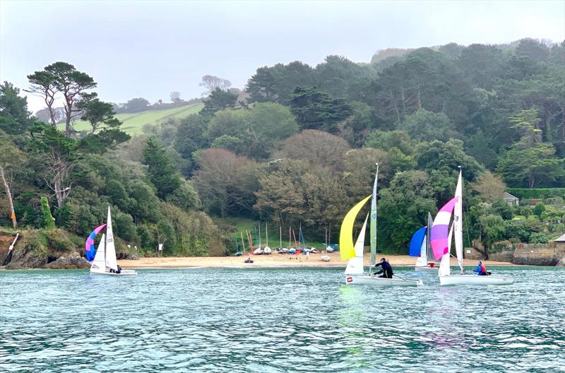 Lark Masters at Salcombe photo copyright Claire Booth taken at Salcombe Yacht Club and featuring the Lark class