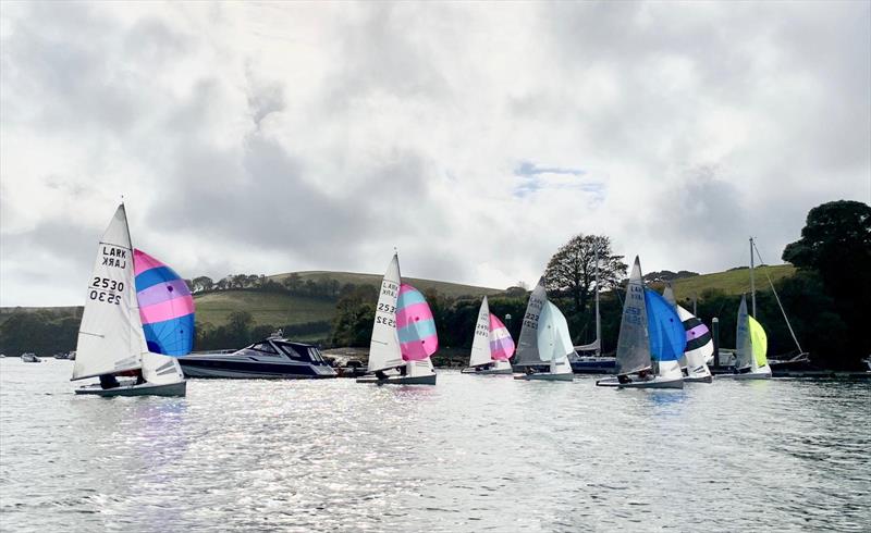 Lark Masters at Salcombe photo copyright Claire Booth taken at Salcombe Yacht Club and featuring the Lark class