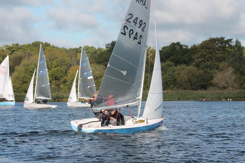 Lark Open at Frensham Pond photo copyright Rebecca Videlo taken at Frensham Pond Sailing Club and featuring the Lark class