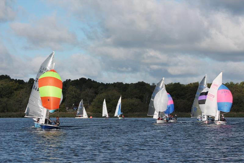 Lark Open at Frensham Pond photo copyright Rebecca Videlo taken at Frensham Pond Sailing Club and featuring the Lark class