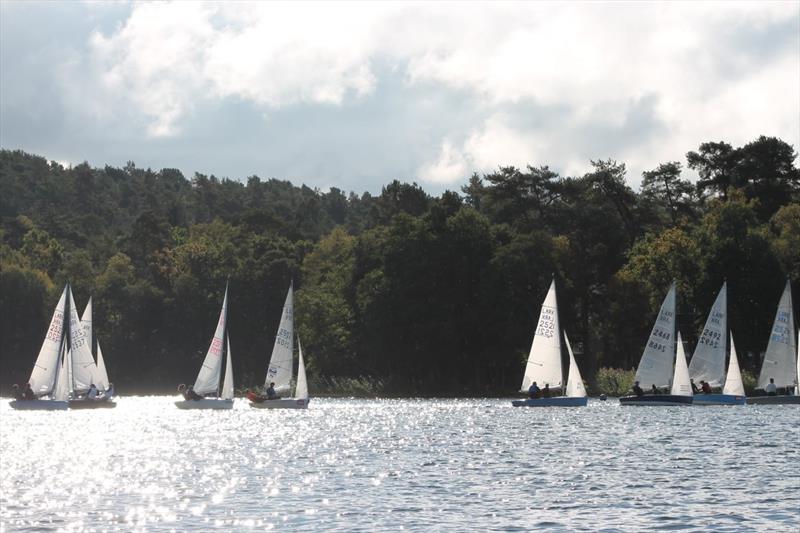 Lark Open at Frensham Pond photo copyright Rebecca Videlo taken at Frensham Pond Sailing Club and featuring the Lark class