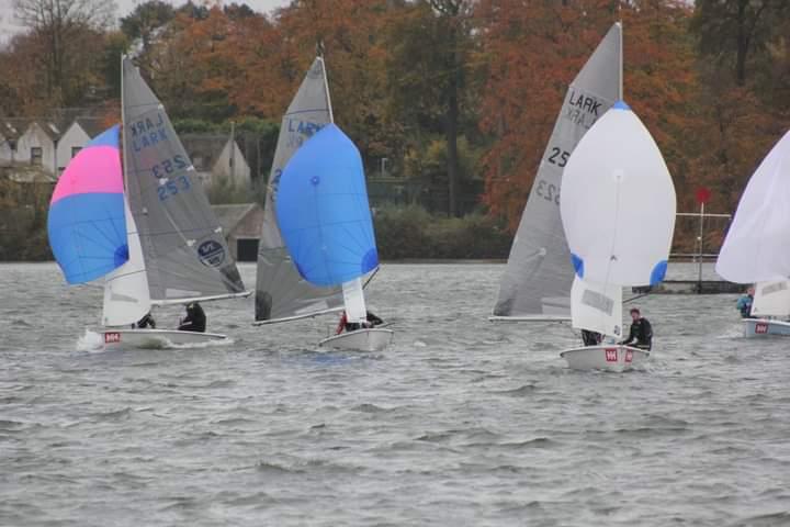 Larks at South Staffs photo copyright Martin Warburton taken at South Staffordshire Sailing Club and featuring the Lark class