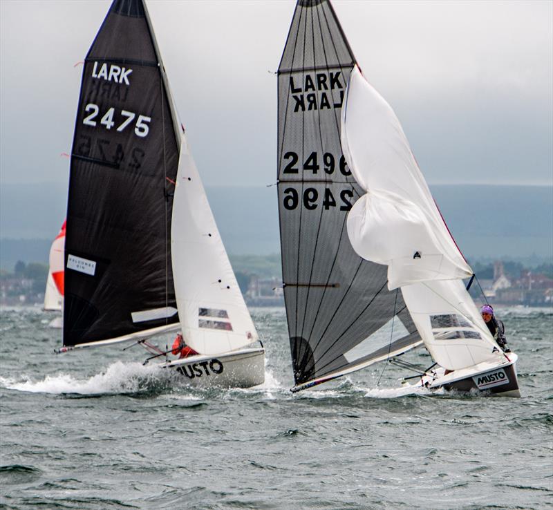 Larks at the Lymington Dinghy Regatta 2021 photo copyright Paul French taken at Royal Lymington Yacht Club and featuring the Lark class