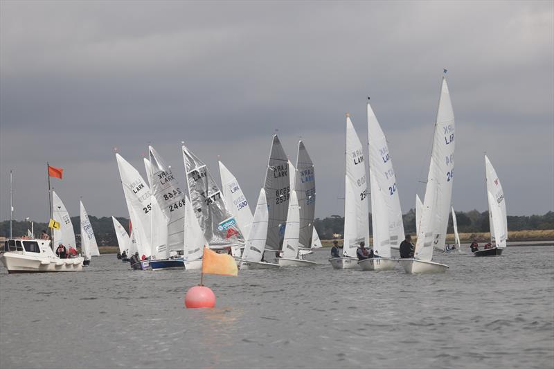 Larks at the Waldringfield Centenary Cartoon Trophy photo copyright Alexis Smith taken at Waldringfield Sailing Club and featuring the Lark class