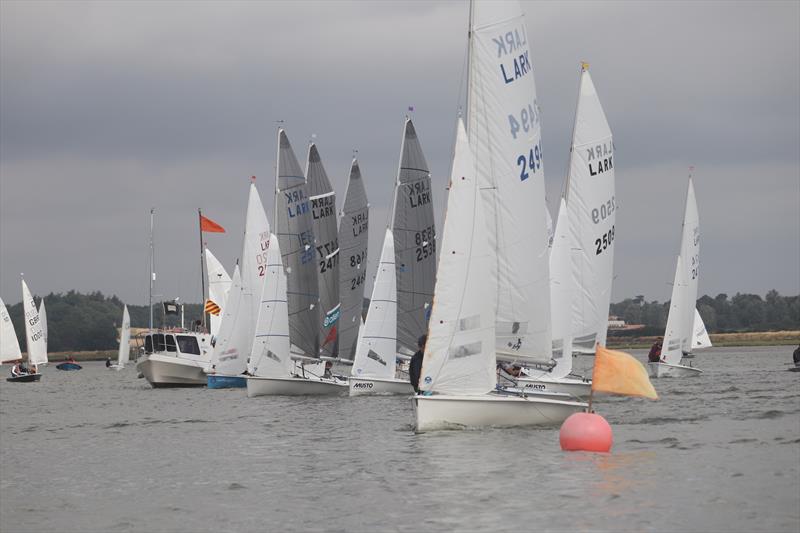 Larks at the Waldringfield Centenary Cartoon Trophy photo copyright Alexis Smith taken at Waldringfield Sailing Club and featuring the Lark class