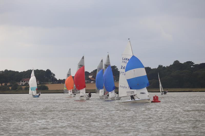 Larks at the Waldringfield Centenary Cartoon Trophy photo copyright Alexis Smith taken at Waldringfield Sailing Club and featuring the Lark class