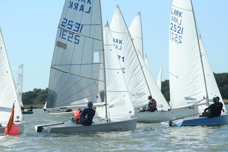 Larks at the Waldringfield Cartoon Trophy photo copyright Alexis Smith taken at Waldringfield Sailing Club and featuring the Lark class