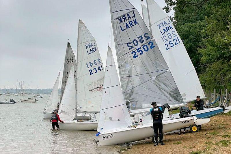 Lark racing at the Waldringfield Centenary Regatta photo copyright Flora Winter taken at Waldringfield Sailing Club and featuring the Lark class