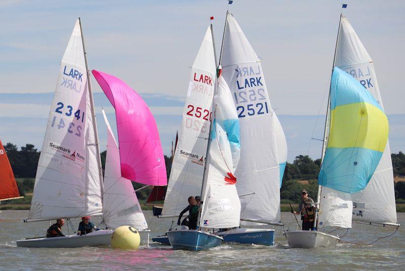 Lark racing at the Waldringfield Centenary Regatta photo copyright Alexis Smith taken at Waldringfield Sailing Club and featuring the Lark class