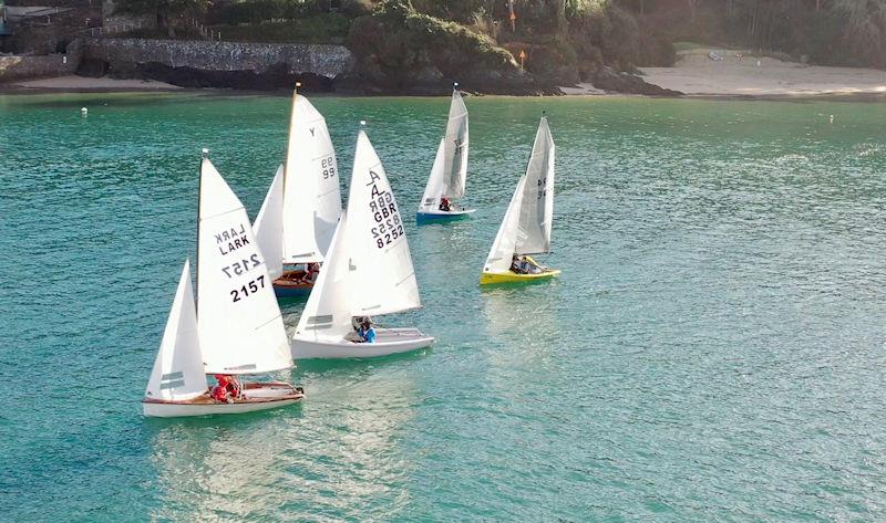 Salcombe Yacht Club Winter Series Race 3 photo copyright Lucy Burn taken at Salcombe Yacht Club and featuring the Lark class