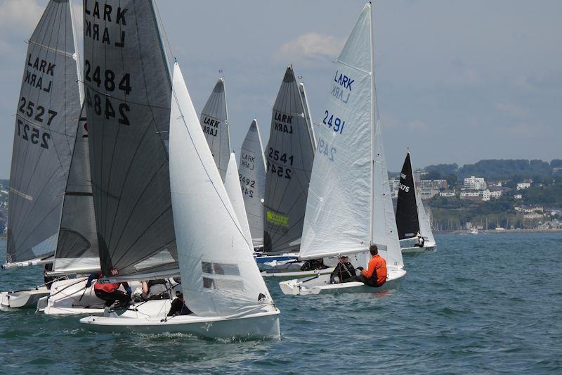 Musto Lark National Championship at Brixham day 1 photo copyright Will Loy taken at Brixham Yacht Club and featuring the Lark class