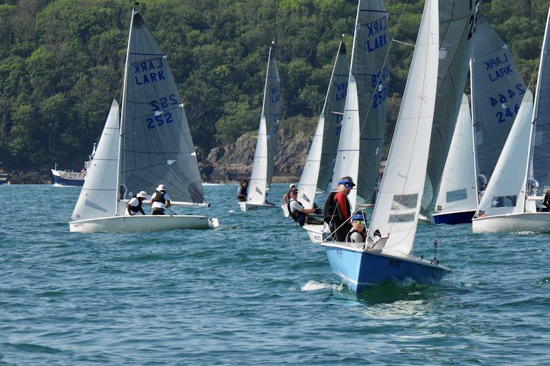 Musto Lark National Championship at Brixham day 1 photo copyright Will Loy taken at Brixham Yacht Club and featuring the Lark class