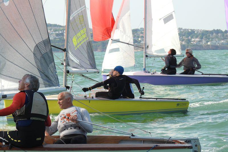 Musto Lark National Championship at Brixham day 2 photo copyright Will Loy taken at Brixham Yacht Club and featuring the Lark class