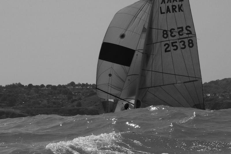 Musto Lark National Championship at Brixham day 2 photo copyright Will Loy taken at Brixham Yacht Club and featuring the Lark class