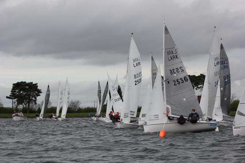 Lark Spring Championship at South Staffs photo copyright Martin Warburton taken at South Staffordshire Sailing Club and featuring the Lark class