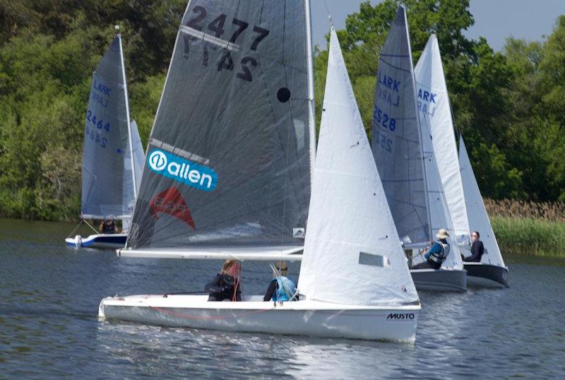 Craftinsure Lark class Frank Carter trophy at Frensham Pond - photo © Tom Clifford