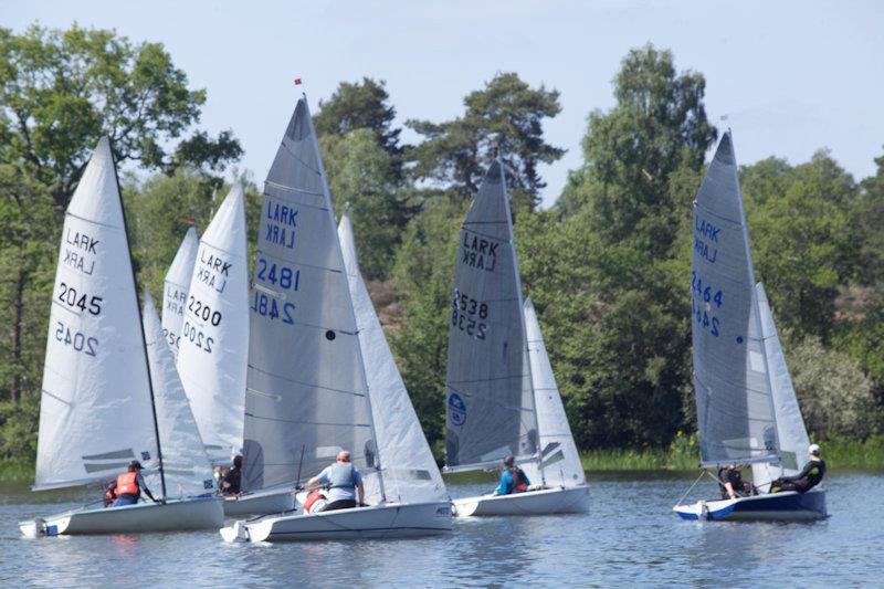 Craftinsure Lark class Frank Carter trophy at Frensham Pond - photo © Tom Clifford