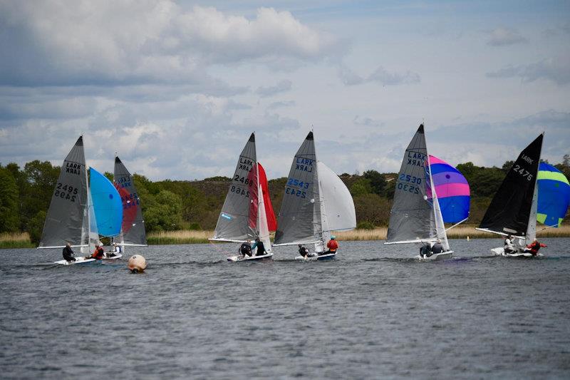 Lark Craftinsure Traveller's Series at Frensham photo copyright Jonathan Inglesfield taken at Frensham Pond Sailing Club and featuring the Lark class