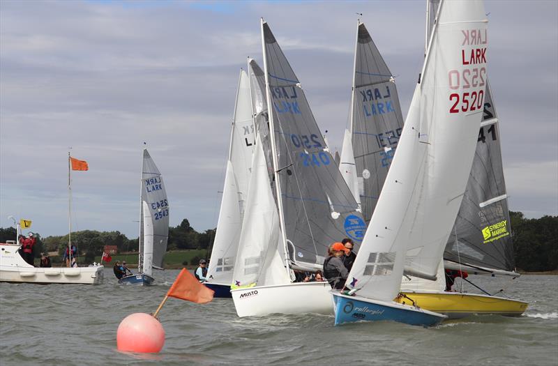 Craftinsure Lark Cartoon Trophy at Waldringfield photo copyright Alexis Smith taken at Waldringfield Sailing Club and featuring the Lark class