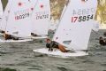 Nick Orman (Castle Cove) at the Laser Club Championships