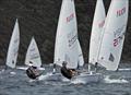 NZ ILCA National Championships - Day 4, Queen Charlotte Yacht Club, Picton, January 23, 2022 © Christel Hopkins