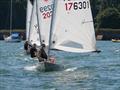 ILCA 7s at Starcross © Garnet Showell