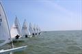 South Coast ILCA Open at Seafarers Sailing Club © Grace O'Neill