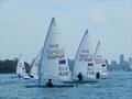 ILCA 7 Fleet © Woollahra Sailing Club
