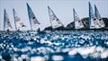 © Sailing Energy / Semaine Olympique Française
