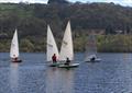Bala Easter Regatta 2025 © John Hunter