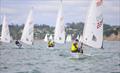 ILCA 7 - OceanBridge Sail Auckland - Torbay - February 1, 2026 &copy; Jacob Fewtrell/Insight Media