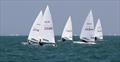 ILCA 7 fleet crossing tacks upwind on day 3 of the Royal Varuna Yacht Club Open Masters Championship 2026 &copy; Henry Weidmann