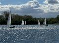 ILCA Open at Spinnaker Sailing Club &copy; Dileck Grant