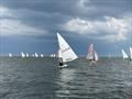 Nick Stephens' ILCA 7 during the 232nd Whitstable Town Regatta &copy; Steve Gray