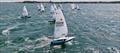 Race 7 start at Laserfest 2026 at Whitstable Yacht Club &copy; Eyesky