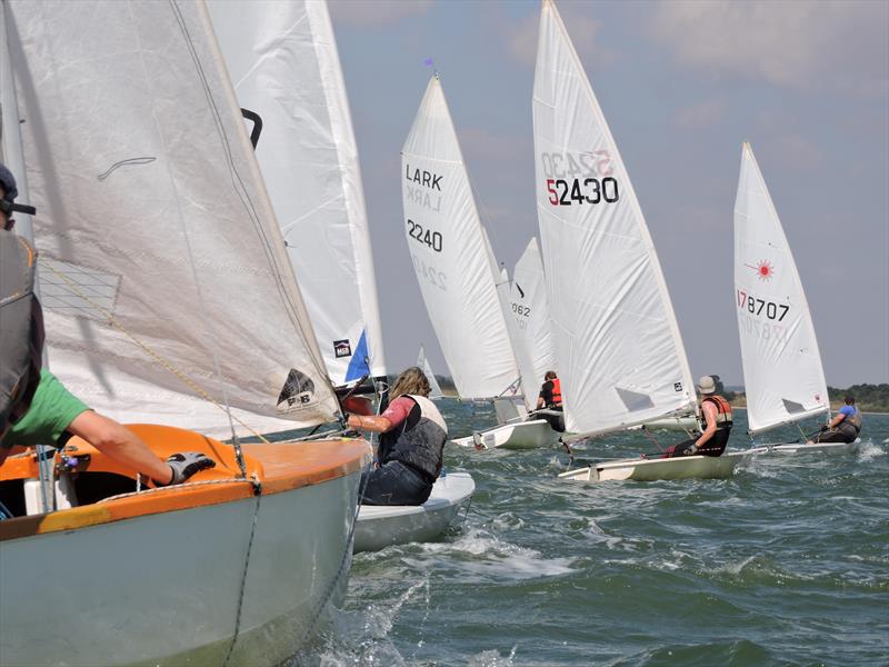 Start line at Maylandsea Bay Sailing Week photo copyright Teresa Giles taken at Maylandsea Bay Sailing Club and featuring the ILCA 7 class