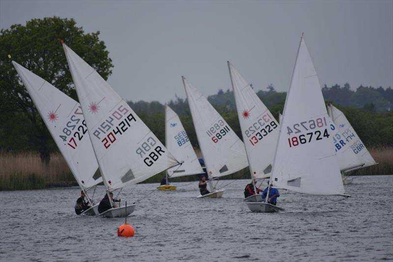 Single-Handed Open at Horning Sailing Club photo copyright Holly Hancock taken at Horning Sailing Club and featuring the ILCA 7 class