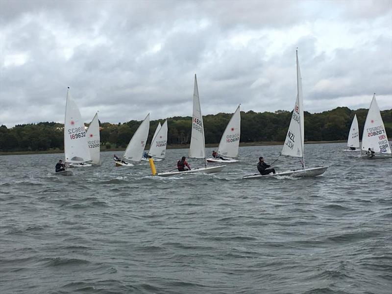 Royal Harwich Yacht Club Laser Open - photo © Will Patten