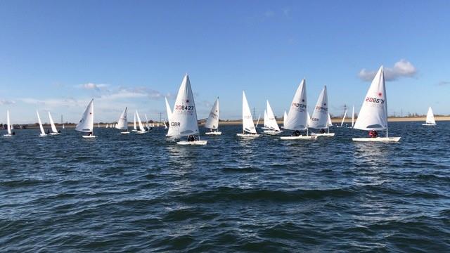 Laser Performance Standard Masters Finale 2017 at Queen Mary - photo © Lijia Xu