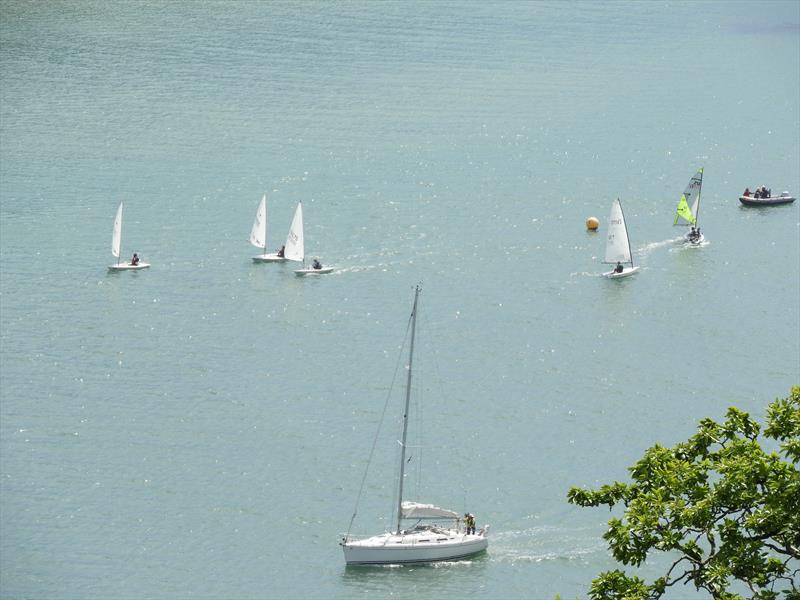 Salcombe Yacht Club Summer Series Race 2 photo copyright Margaret Mackley taken at Salcombe Yacht Club and featuring the ILCA 7 class