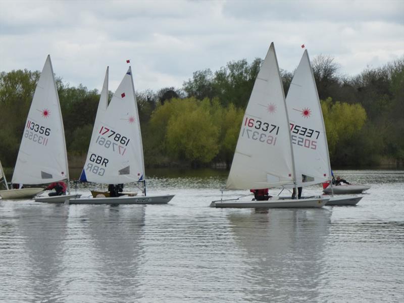 SESCA Laser racing photo copyright Mike Steele taken at St Edmundsbury Sailing & Canoeing Association and featuring the ILCA 7 class